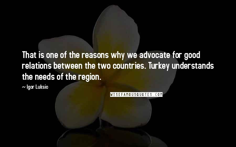 Igor Luksic Quotes: That is one of the reasons why we advocate for good relations between the two countries. Turkey understands the needs of the region.