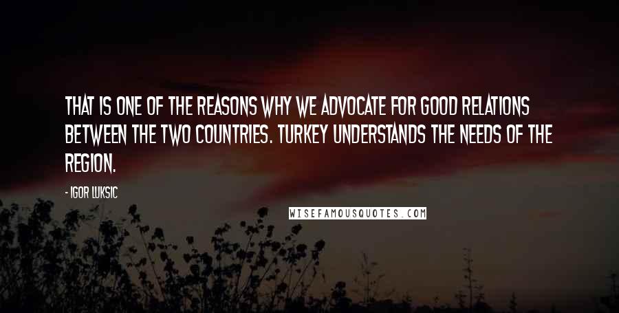 Igor Luksic Quotes: That is one of the reasons why we advocate for good relations between the two countries. Turkey understands the needs of the region.