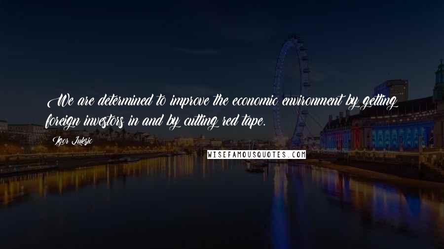 Igor Luksic Quotes: We are determined to improve the economic environment by getting foreign investors in and by cutting red tape.