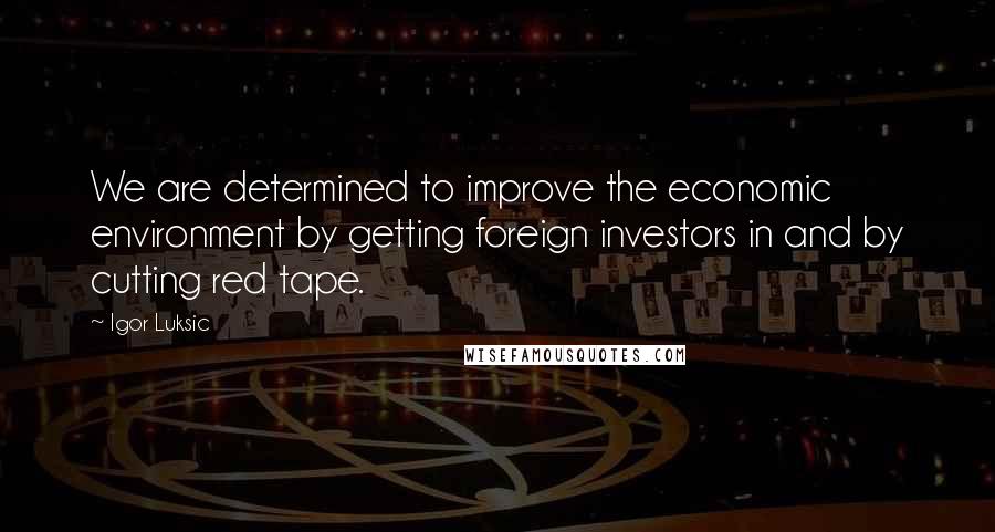 Igor Luksic Quotes: We are determined to improve the economic environment by getting foreign investors in and by cutting red tape.