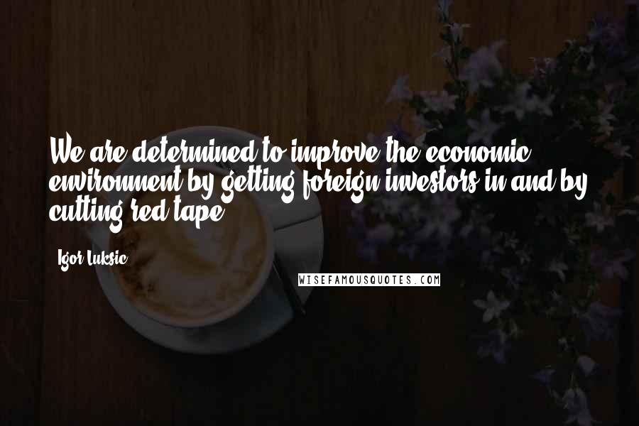 Igor Luksic Quotes: We are determined to improve the economic environment by getting foreign investors in and by cutting red tape.