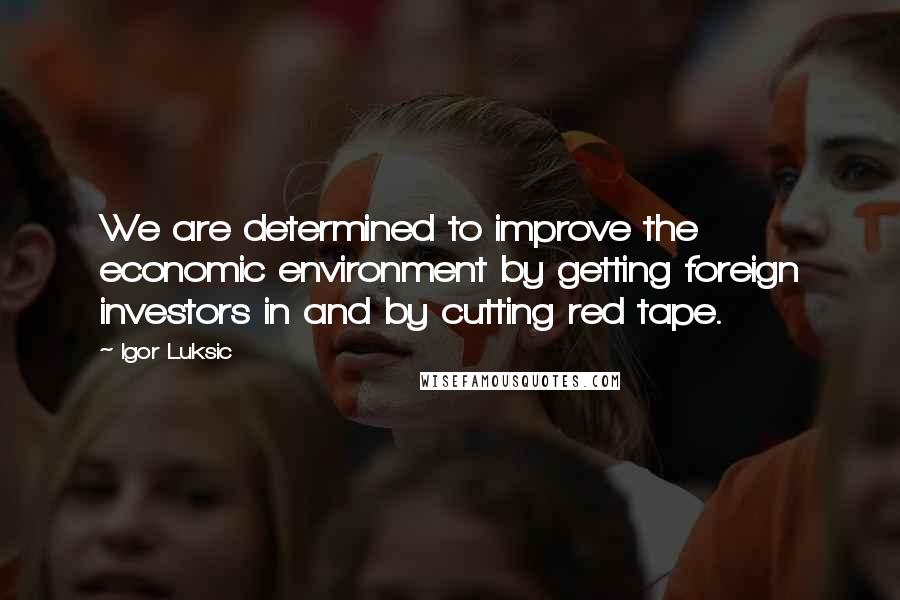 Igor Luksic Quotes: We are determined to improve the economic environment by getting foreign investors in and by cutting red tape.