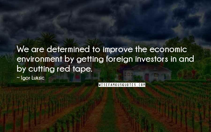 Igor Luksic Quotes: We are determined to improve the economic environment by getting foreign investors in and by cutting red tape.