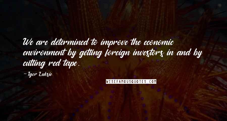 Igor Luksic Quotes: We are determined to improve the economic environment by getting foreign investors in and by cutting red tape.