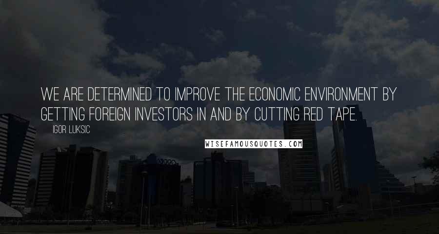 Igor Luksic Quotes: We are determined to improve the economic environment by getting foreign investors in and by cutting red tape.