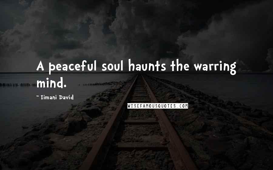 Iimani David Quotes: A peaceful soul haunts the warring mind.