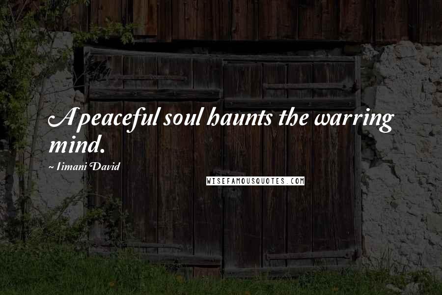 Iimani David Quotes: A peaceful soul haunts the warring mind.