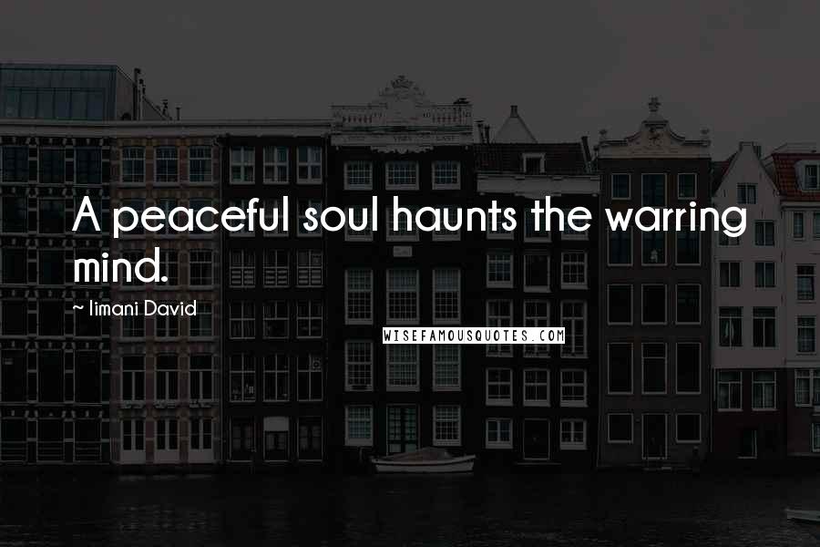 Iimani David Quotes: A peaceful soul haunts the warring mind.