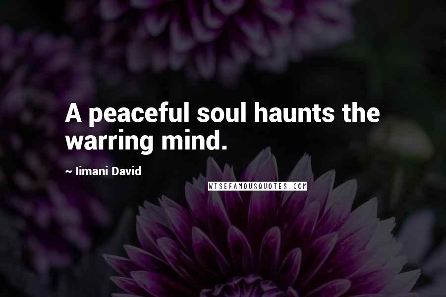 Iimani David Quotes: A peaceful soul haunts the warring mind.