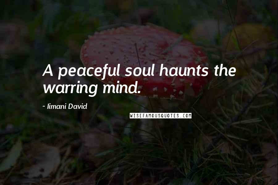 Iimani David Quotes: A peaceful soul haunts the warring mind.