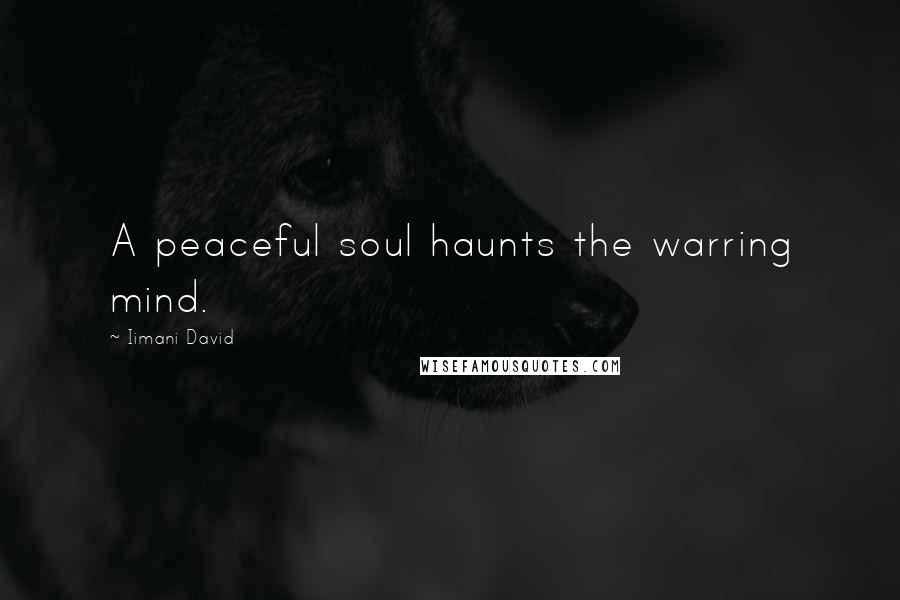 Iimani David Quotes: A peaceful soul haunts the warring mind.