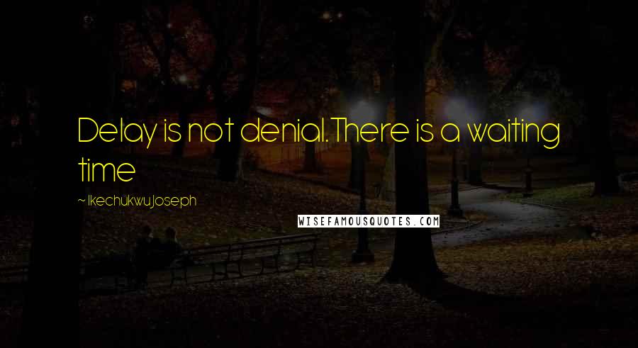 Ikechukwu Joseph Quotes: Delay is not denial.There is a waiting time