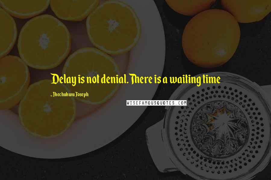 Ikechukwu Joseph Quotes: Delay is not denial.There is a waiting time