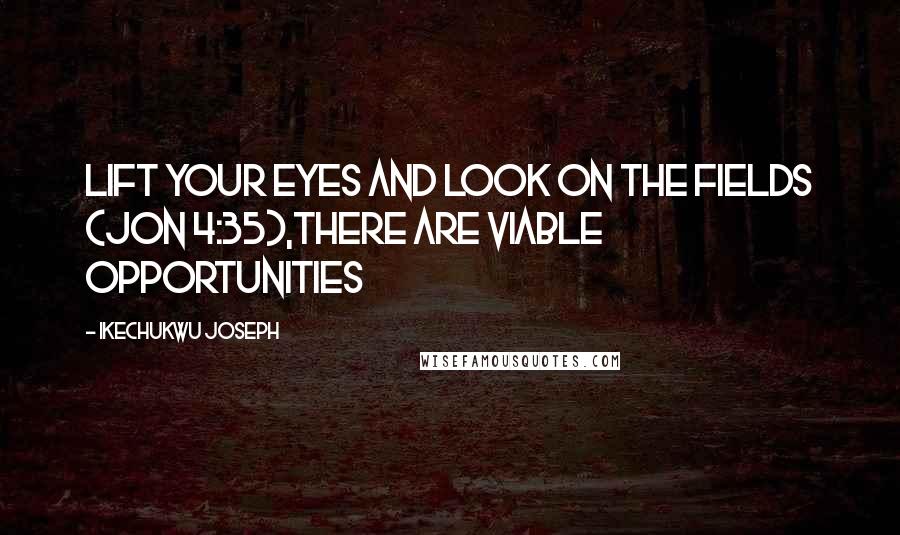 Ikechukwu Joseph Quotes: Lift your eyes and look on the FIELDS (Jon 4:35),there are viable opportunities