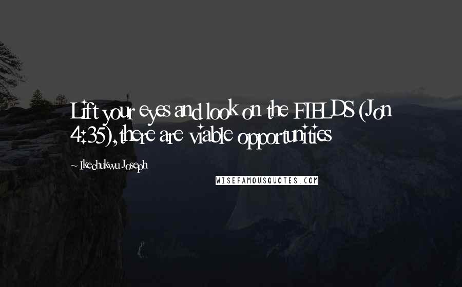 Ikechukwu Joseph Quotes: Lift your eyes and look on the FIELDS (Jon 4:35),there are viable opportunities