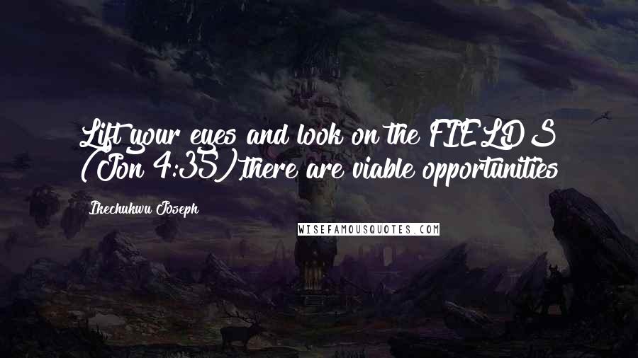 Ikechukwu Joseph Quotes: Lift your eyes and look on the FIELDS (Jon 4:35),there are viable opportunities