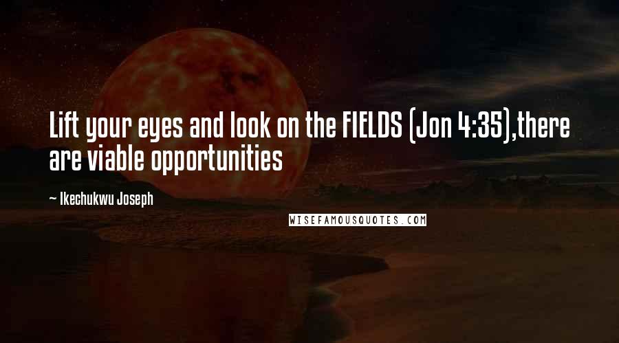 Ikechukwu Joseph Quotes: Lift your eyes and look on the FIELDS (Jon 4:35),there are viable opportunities