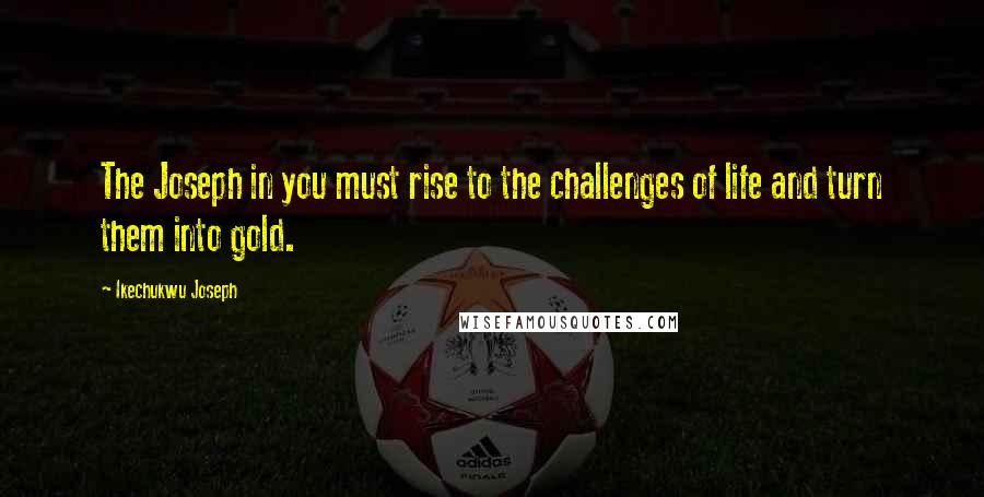 Ikechukwu Joseph Quotes: The Joseph in you must rise to the challenges of life and turn them into gold.