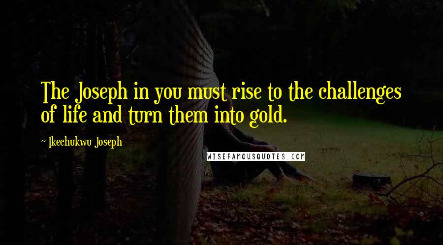 Ikechukwu Joseph Quotes: The Joseph in you must rise to the challenges of life and turn them into gold.