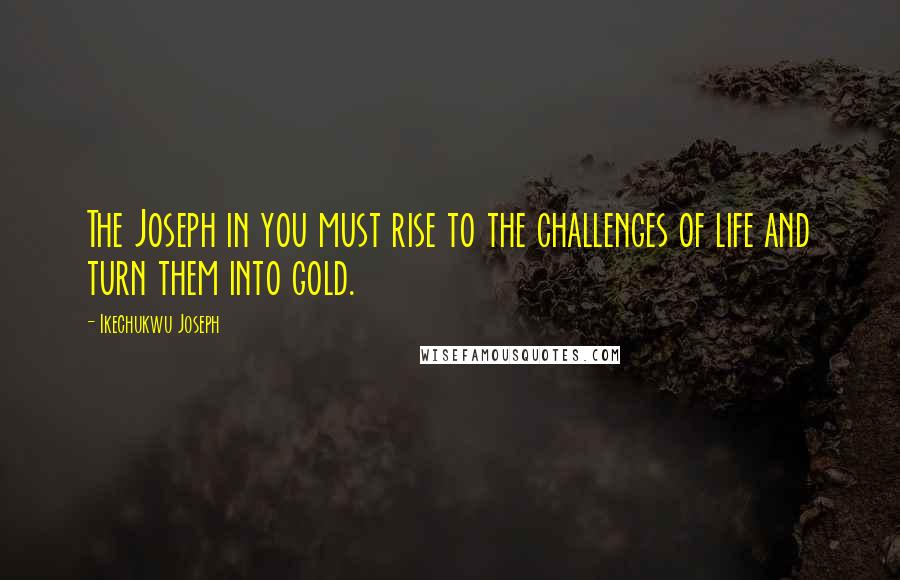 Ikechukwu Joseph Quotes: The Joseph in you must rise to the challenges of life and turn them into gold.