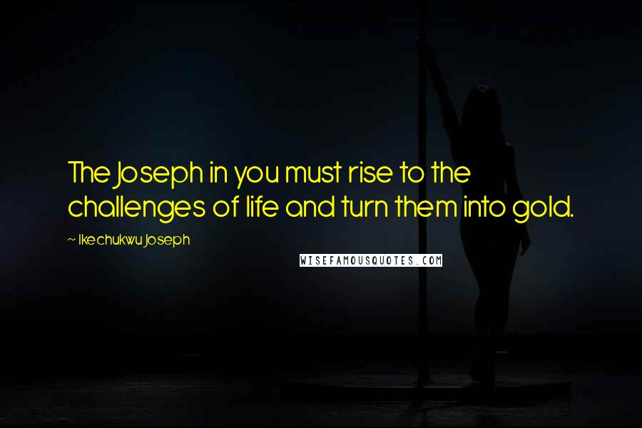 Ikechukwu Joseph Quotes: The Joseph in you must rise to the challenges of life and turn them into gold.