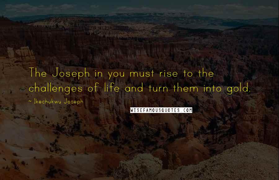 Ikechukwu Joseph Quotes: The Joseph in you must rise to the challenges of life and turn them into gold.