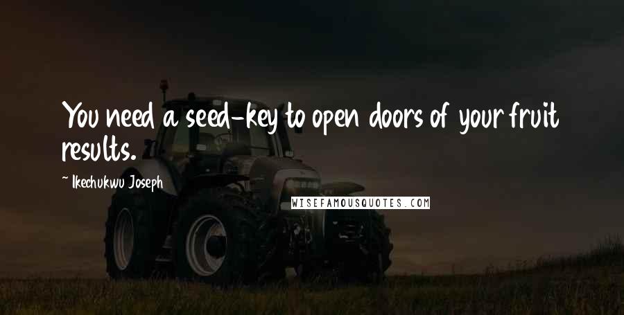 Ikechukwu Joseph Quotes: You need a seed-key to open doors of your fruit results.
