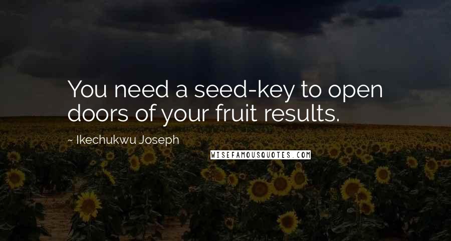 Ikechukwu Joseph Quotes: You need a seed-key to open doors of your fruit results.