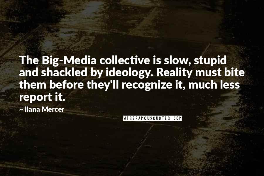 Ilana Mercer Quotes: The Big-Media collective is slow, stupid and shackled by ideology. Reality must bite them before they'll recognize it, much less report it.