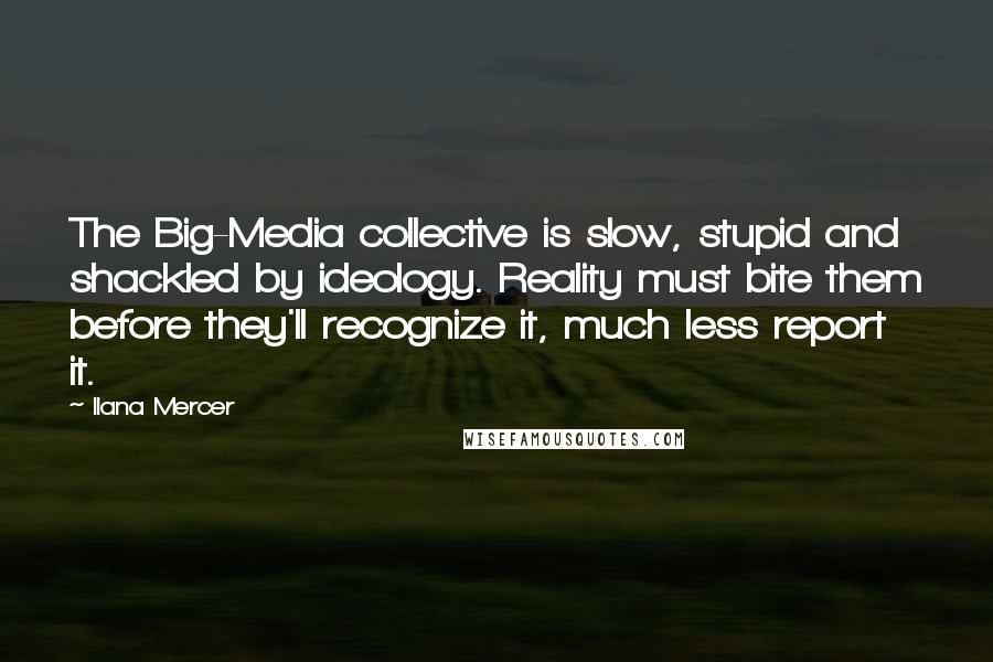 Ilana Mercer Quotes: The Big-Media collective is slow, stupid and shackled by ideology. Reality must bite them before they'll recognize it, much less report it.