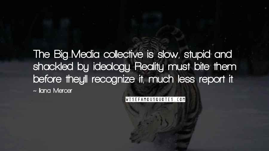 Ilana Mercer Quotes: The Big-Media collective is slow, stupid and shackled by ideology. Reality must bite them before they'll recognize it, much less report it.