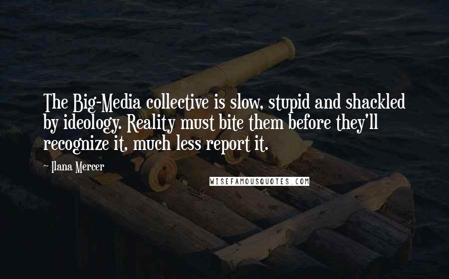 Ilana Mercer Quotes: The Big-Media collective is slow, stupid and shackled by ideology. Reality must bite them before they'll recognize it, much less report it.