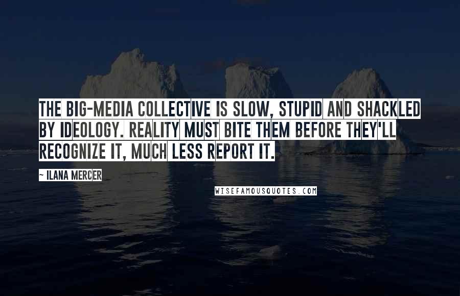 Ilana Mercer Quotes: The Big-Media collective is slow, stupid and shackled by ideology. Reality must bite them before they'll recognize it, much less report it.