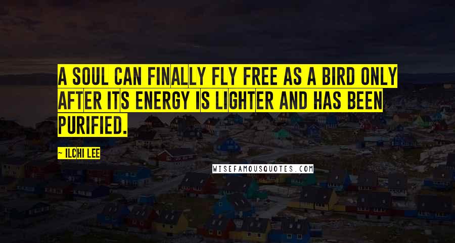 Ilchi Lee Quotes: A soul can finally fly free as a bird only after its energy is lighter and has been purified.
