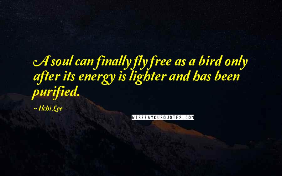 Ilchi Lee Quotes: A soul can finally fly free as a bird only after its energy is lighter and has been purified.