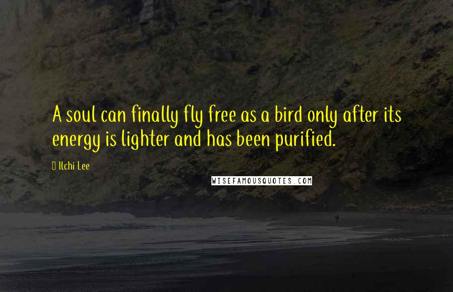 Ilchi Lee Quotes: A soul can finally fly free as a bird only after its energy is lighter and has been purified.