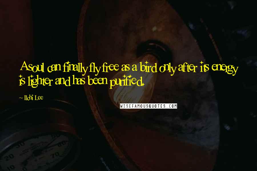 Ilchi Lee Quotes: A soul can finally fly free as a bird only after its energy is lighter and has been purified.