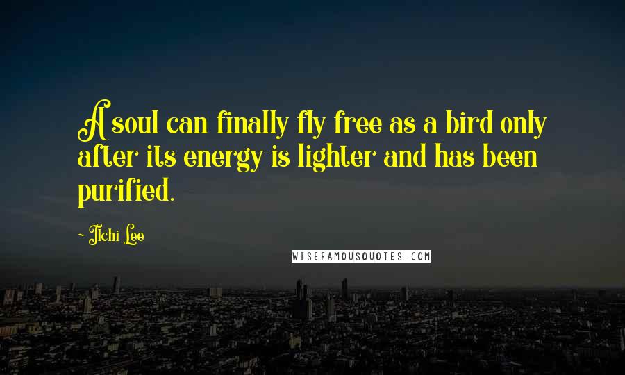 Ilchi Lee Quotes: A soul can finally fly free as a bird only after its energy is lighter and has been purified.