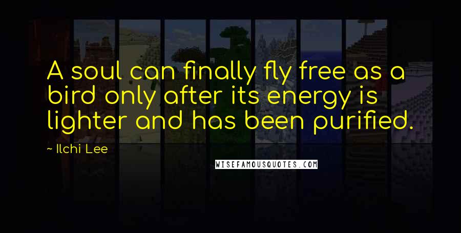 Ilchi Lee Quotes: A soul can finally fly free as a bird only after its energy is lighter and has been purified.