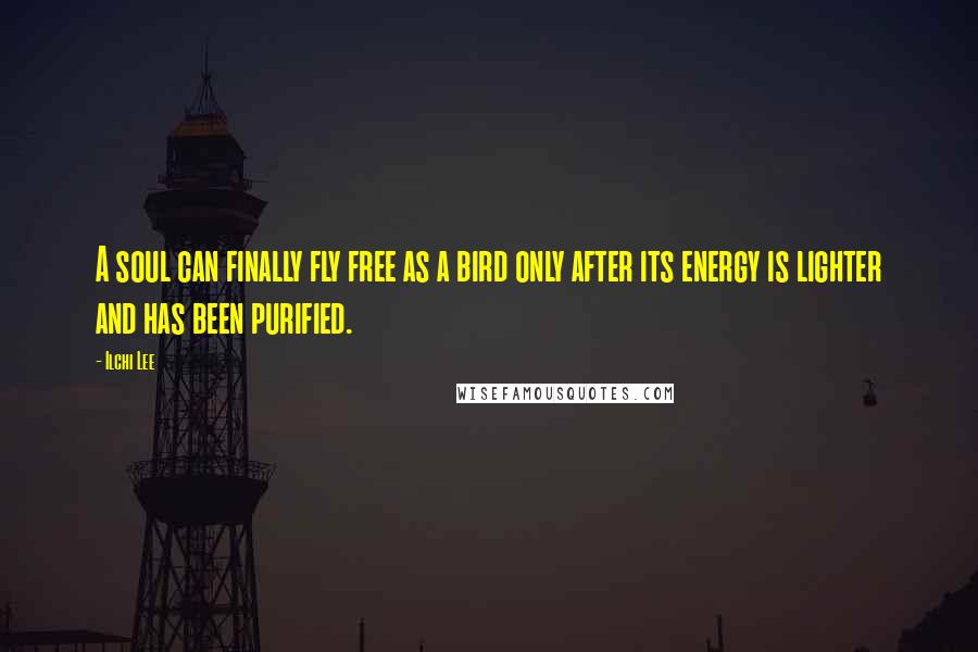 Ilchi Lee Quotes: A soul can finally fly free as a bird only after its energy is lighter and has been purified.