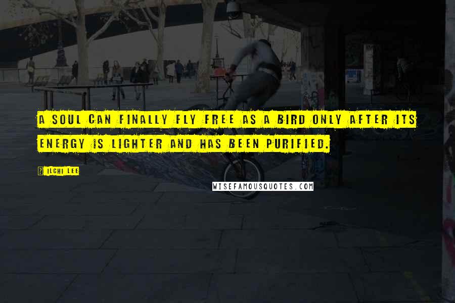 Ilchi Lee Quotes: A soul can finally fly free as a bird only after its energy is lighter and has been purified.