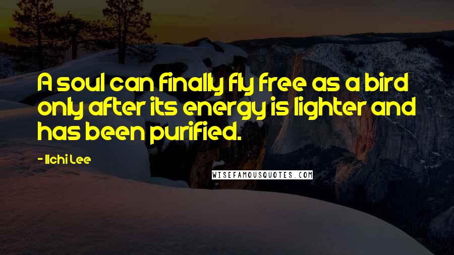 Ilchi Lee Quotes: A soul can finally fly free as a bird only after its energy is lighter and has been purified.