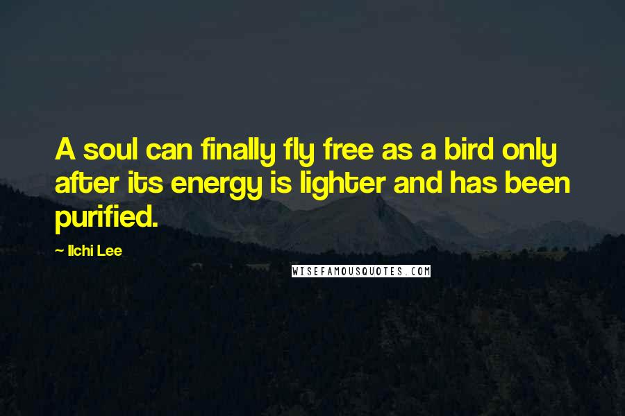 Ilchi Lee Quotes: A soul can finally fly free as a bird only after its energy is lighter and has been purified.