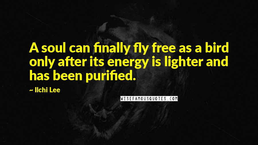 Ilchi Lee Quotes: A soul can finally fly free as a bird only after its energy is lighter and has been purified.