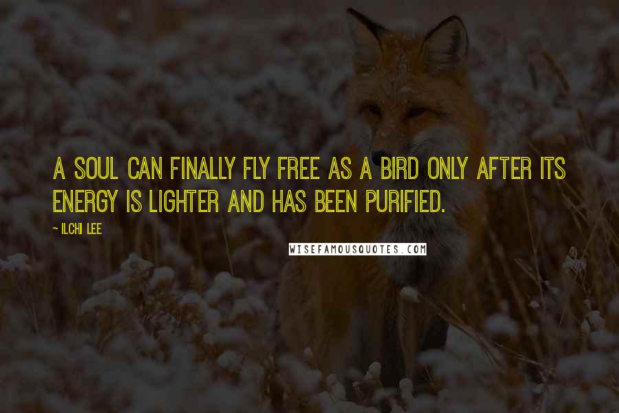 Ilchi Lee Quotes: A soul can finally fly free as a bird only after its energy is lighter and has been purified.