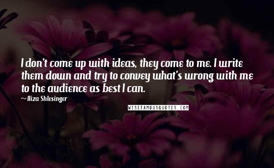 Iliza Shlesinger Quotes: I don't come up with ideas, they come to me. I write them down and try to convey what's wrong with me to the audience as best I can.