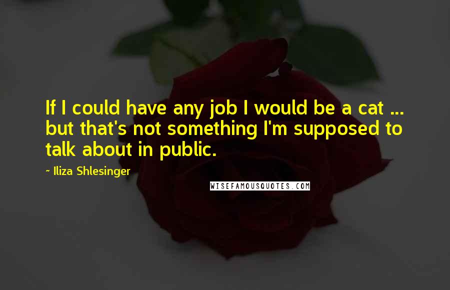 Iliza Shlesinger Quotes: If I could have any job I would be a cat ... but that's not something I'm supposed to talk about in public.