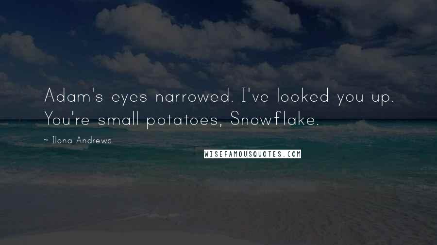 Ilona Andrews Quotes: Adam's eyes narrowed. I've looked you up. You're small potatoes, Snowflake.