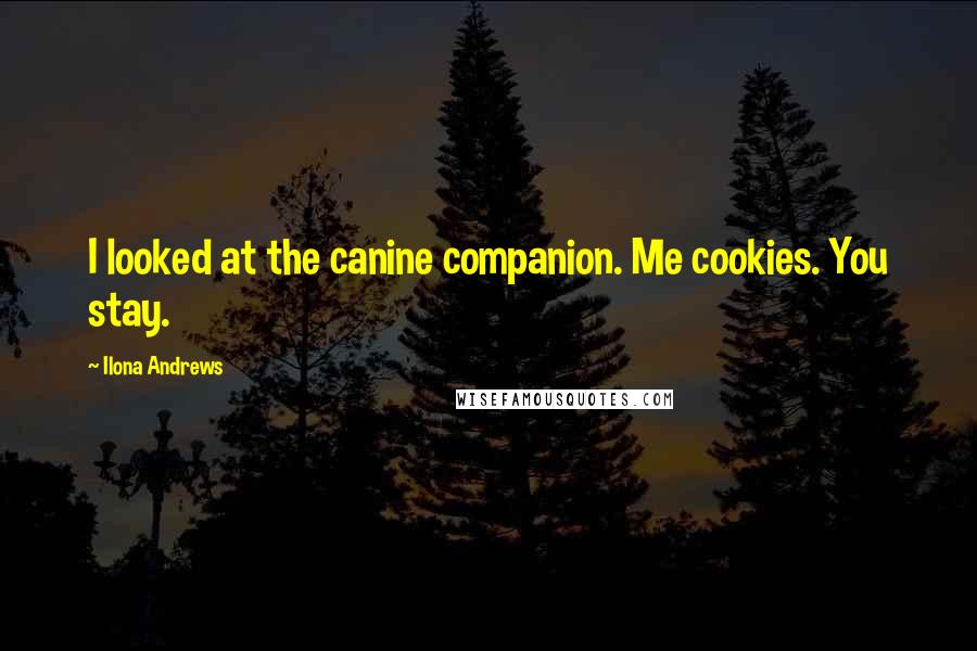 Ilona Andrews Quotes: I looked at the canine companion. Me cookies. You stay.