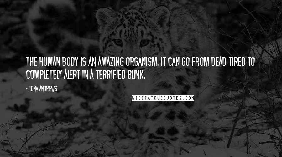 Ilona Andrews Quotes: The human body is an amazing organism. It can go from dead tired to completely alert in a terrified blink.